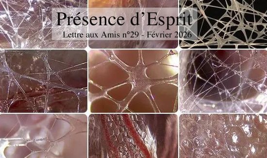 Lettres aux amis n°29