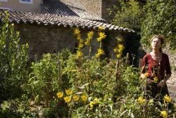 Le jardin