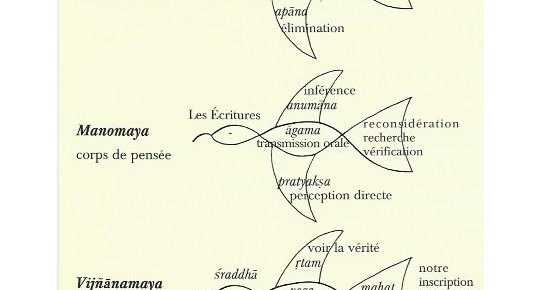 Le yoga activateur d'un changement