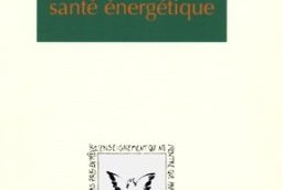 Michel Alibert - Yoga et santé énergétique