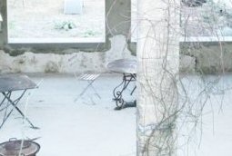 La cuisine d'été ouverte sur le jardin